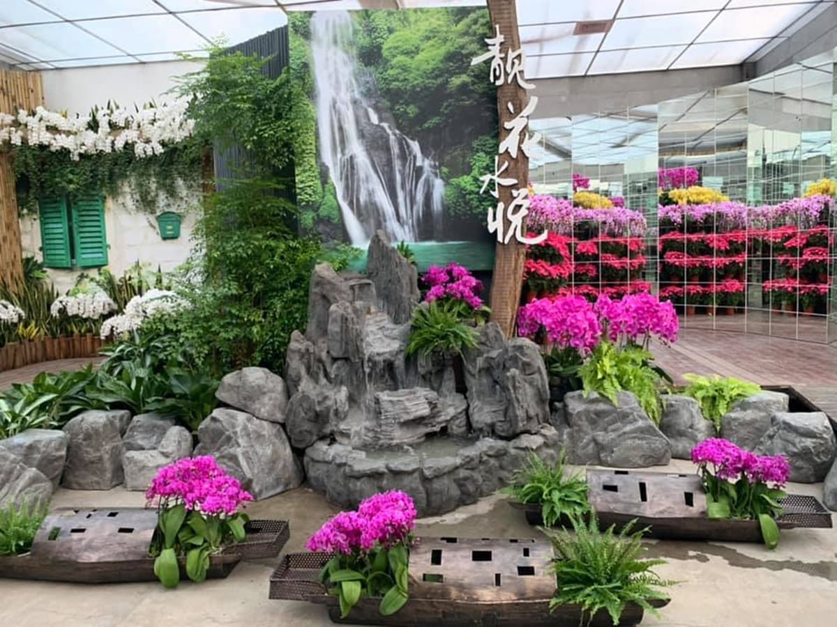 台版小希臘！苗栗新室內景點「鏡中花+網美花牆」10月底前免費參觀