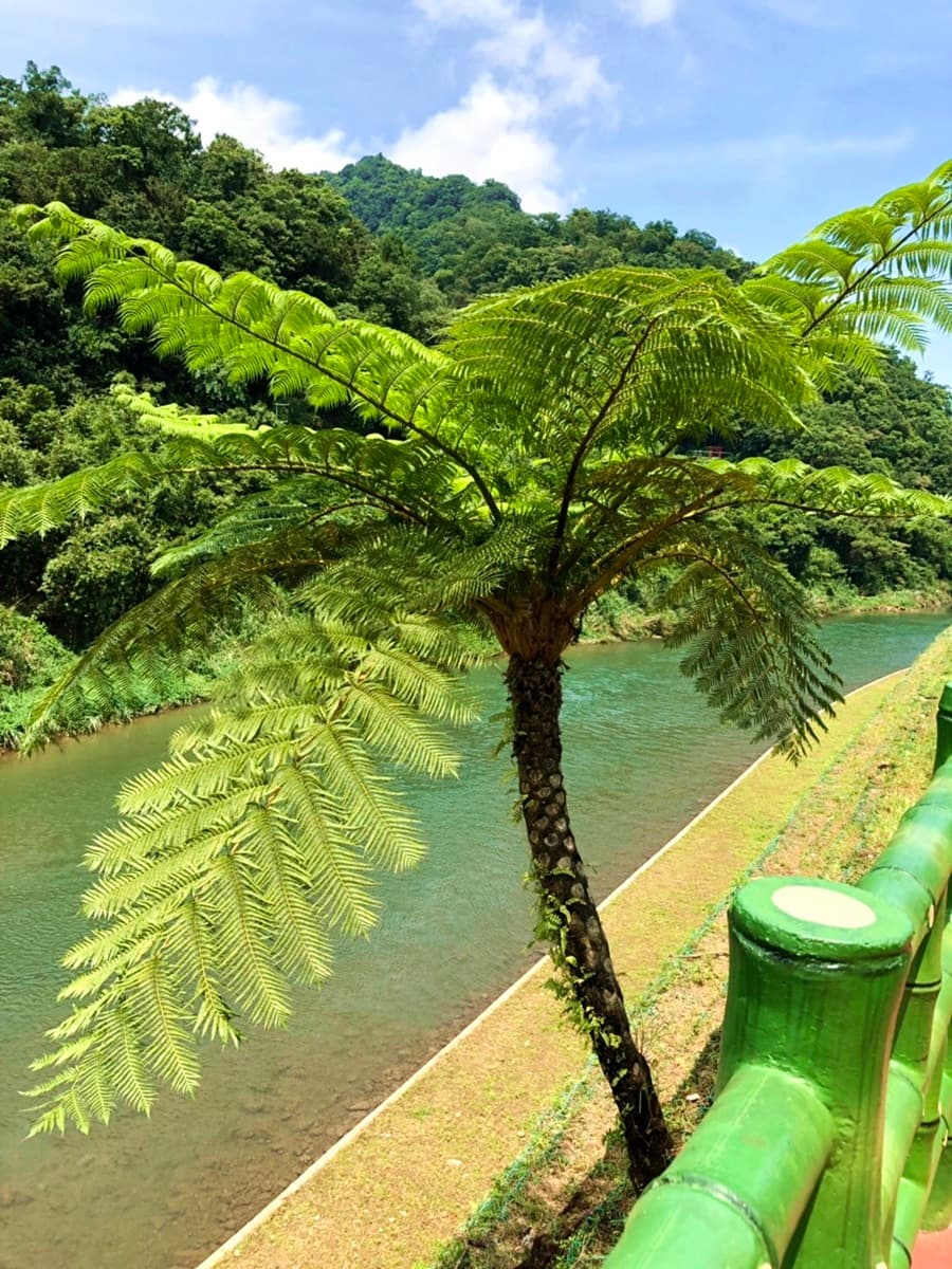 隱藏版「宮崎駿山城」在新北!尋找3億6千歲活化石,還可喝咖啡追火車 隱藏版「宮崎駿山城」在新北!尋找3億6千歲活化石,還可喝咖啡追火車