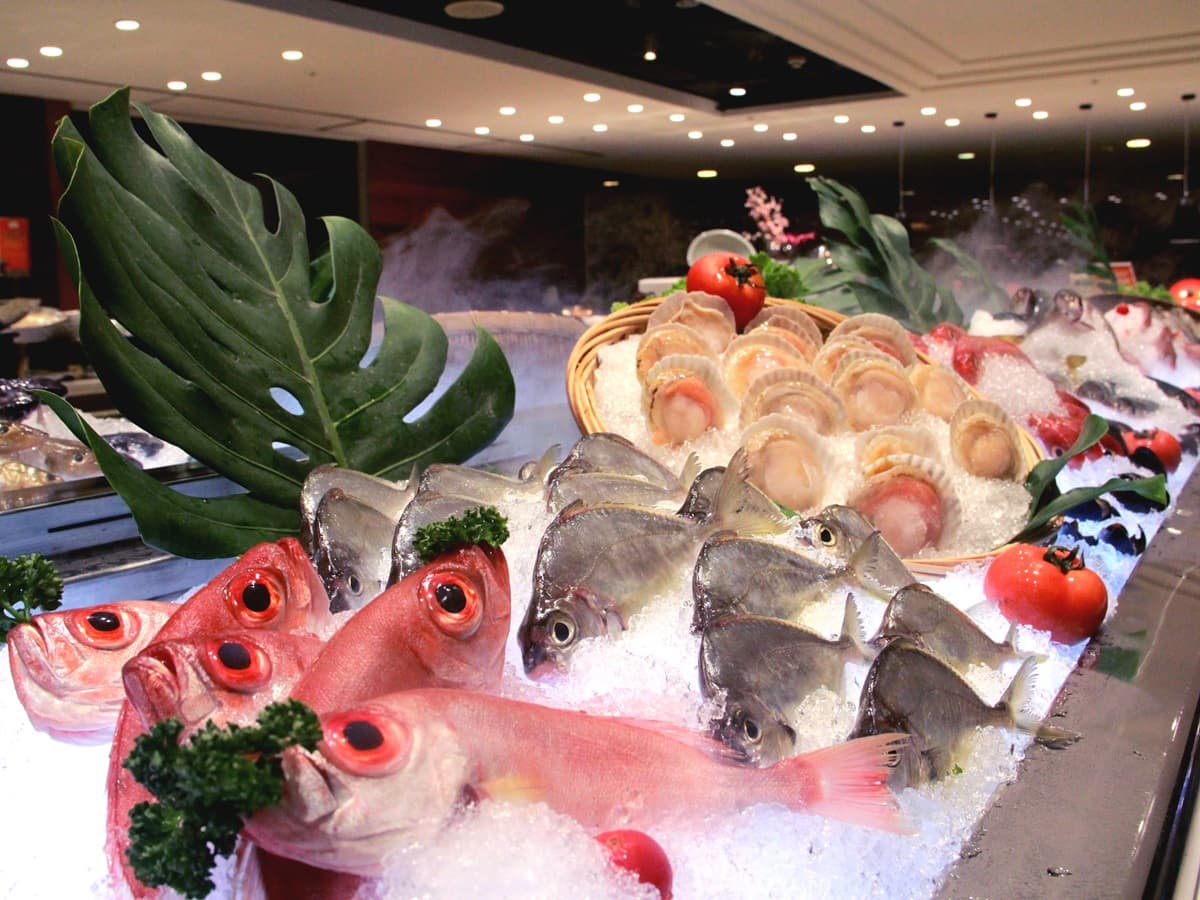 吃到飽免錢!這家五星級Buffet推「買大送小」,長達兩個月小孩全免費 吃到飽免錢!這家五星級Buffet推「買大送小」,長達兩個月小孩全免費