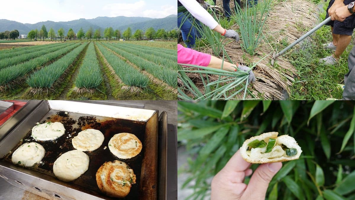 台版奈良再一處！來餵梅花鹿喝ㄋㄟㄋㄟ，還可以DIY三星蔥油餅、窯烤PIZZA