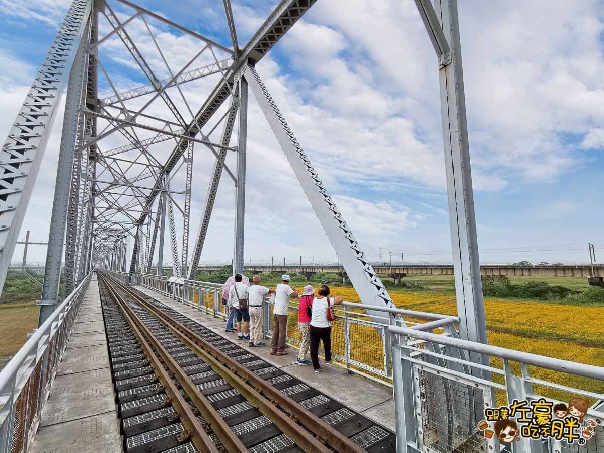 金黃火燒雲奇景現！千坪大波斯夢幻花海開了，必衝「空氣感鐵橋」拍日系美照