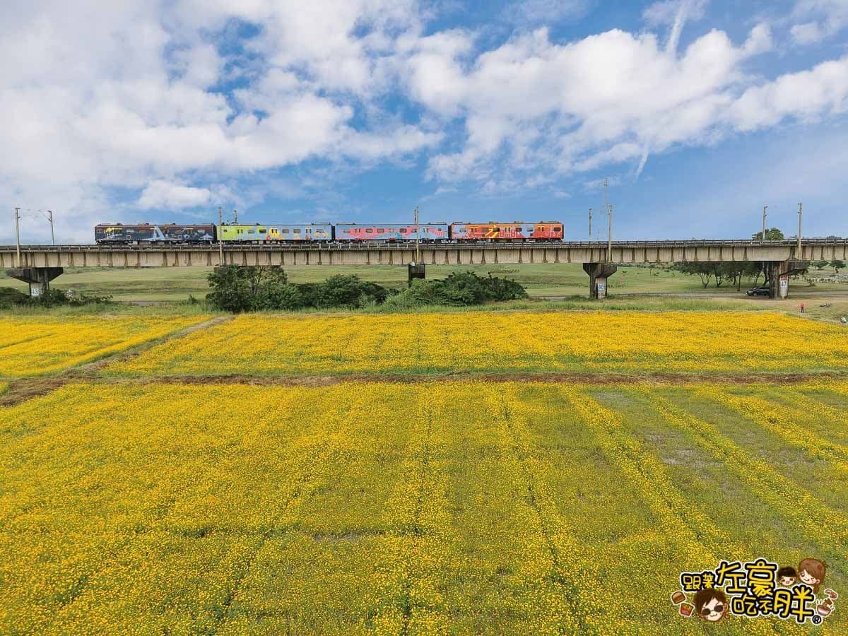 金黃火燒雲奇景現！千坪大波斯夢幻花海開了，必衝「空氣感鐵橋」拍日系美照