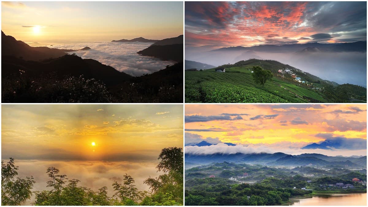 秋冬限定夢幻美景！北中南賞雲海6祕境→第2個景點還有金黃銀杏林