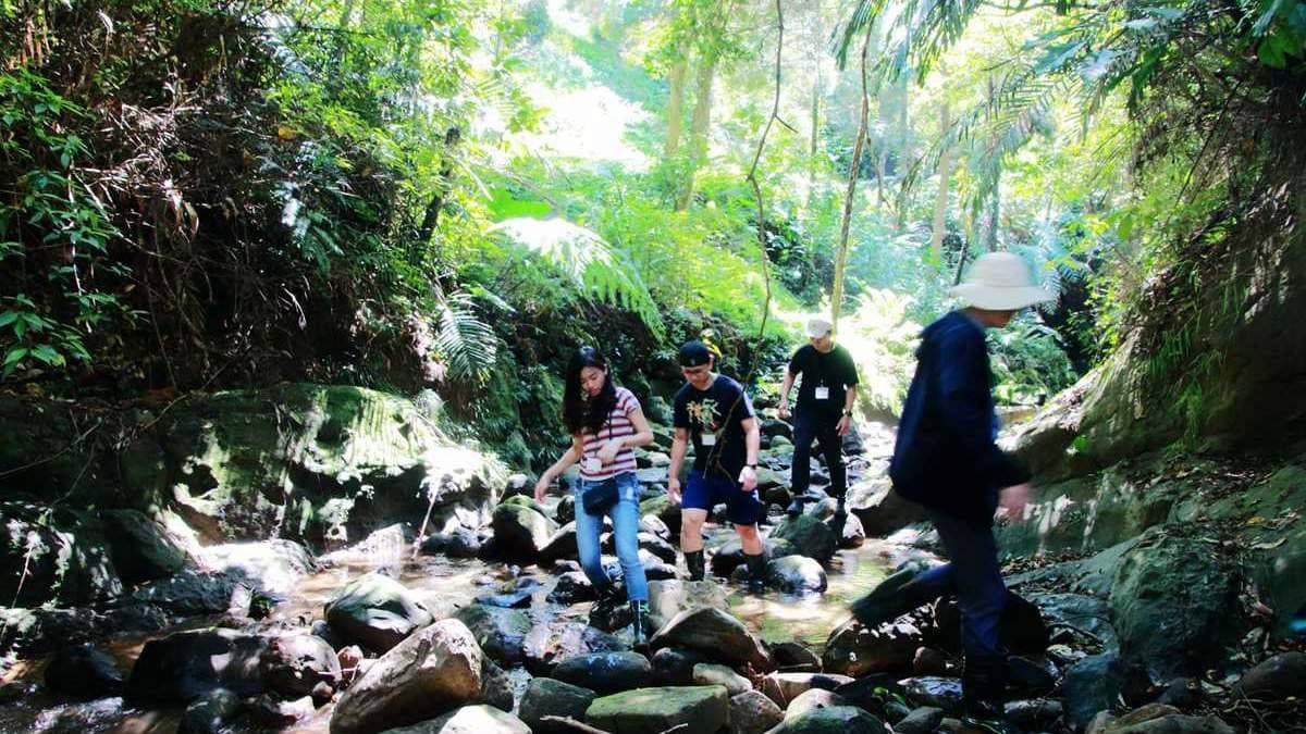 祕境瀑布要主人帶路才能到,苗栗與世隔絕農場裡種了神奇「綠寶石」