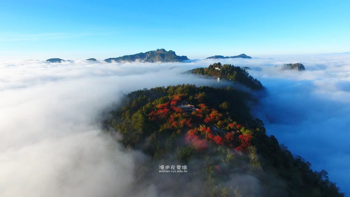 現在去拍最美！北中南7大絕佳賞楓點：京都風雙拱橋、鴛鴦湖步道、豔紅燈海公園
