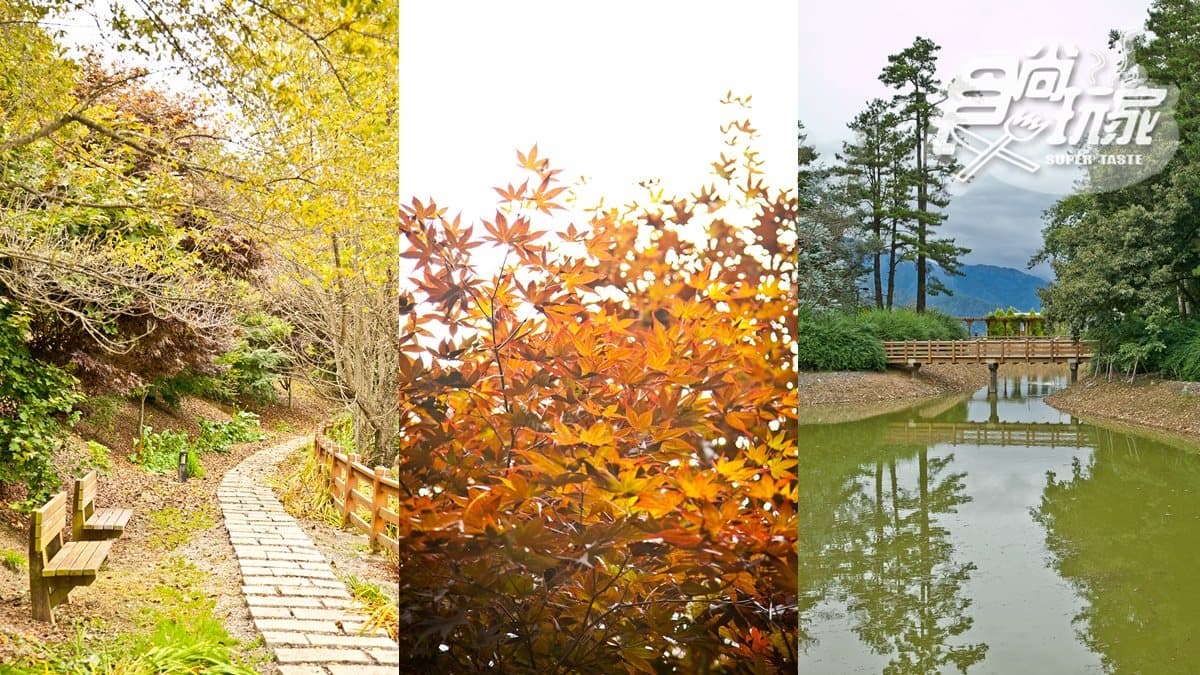 現在去拍最美！北中南7大絕佳賞楓點：京都風雙拱橋、鴛鴦湖步道、豔紅燈海公園
