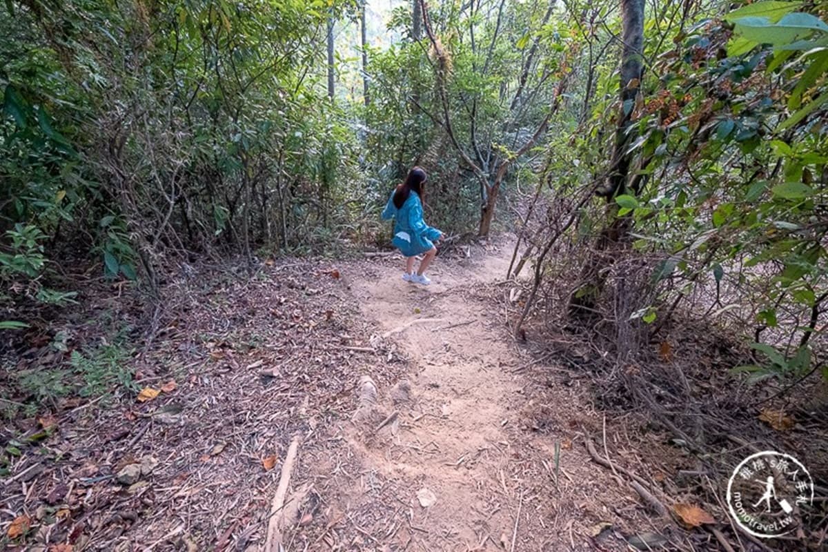 打卡魔幻時刻!苗栗祕境莊園「漸層色落羽松」宛如水彩畫,最美拍攝點曝光 打卡魔幻時刻!苗栗祕境莊園「漸層色落羽松」宛如水彩畫,最美拍攝點曝光