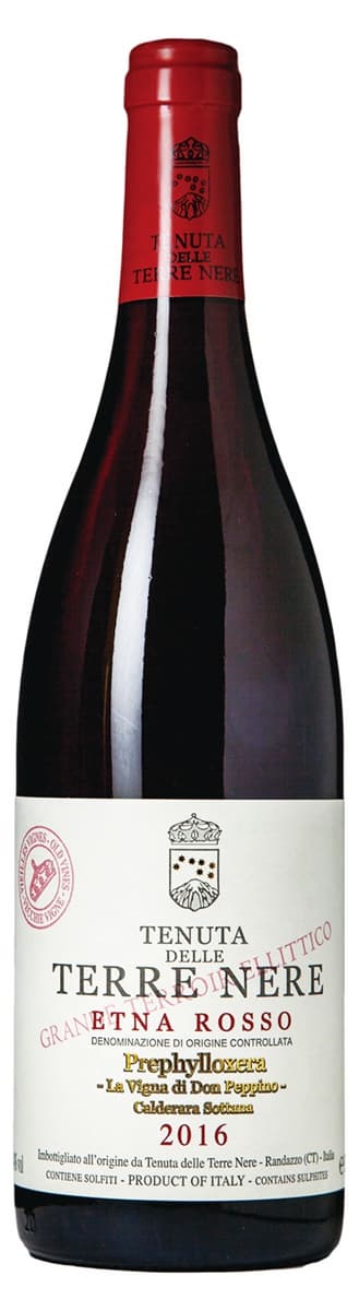 酒控必衝「義大利勃根地」！喝世界最夯火山葡萄酒，還能吃3家正統西西里料理