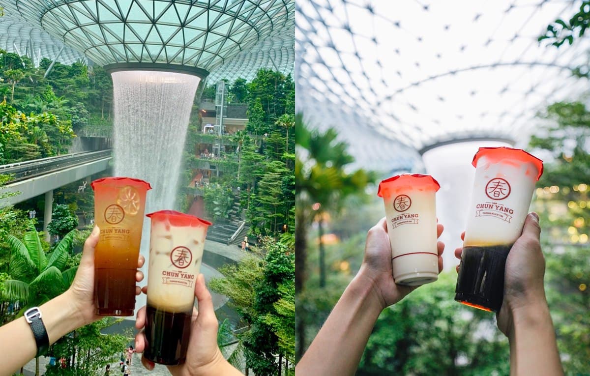 茶控必喝啊！春陽茶事推「抹茶鮮奶」與「焙茶鮮奶」，幫冬天加溫