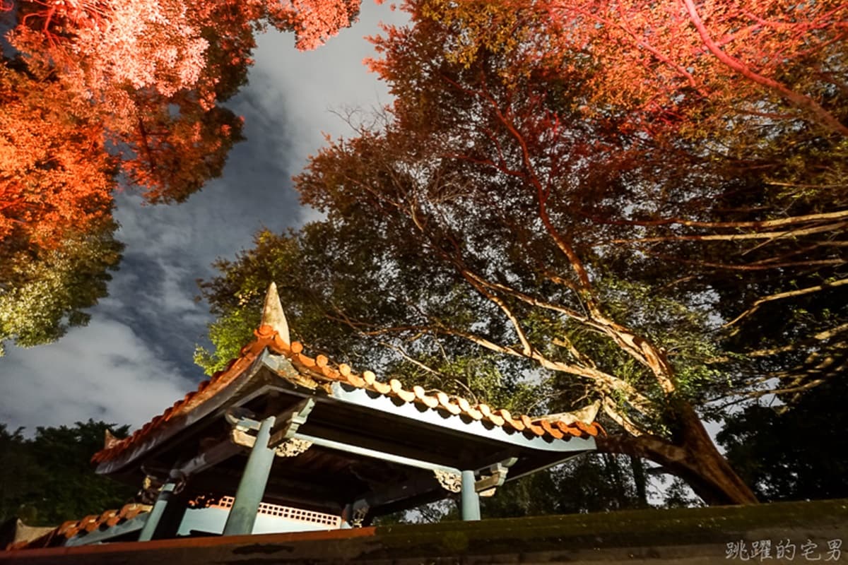 免出國就可看「日本夜楓」！林家花園限定光雕秀登場，百年宅院「開出四季花」