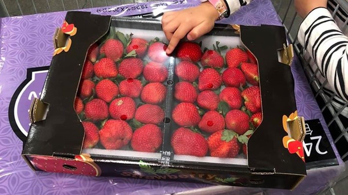 揪團衝好市多!限量開賣「大湖草莓」來囉,網PO文:整盒「零」爛掉 揪團衝好市多!限量開賣「大湖草莓」來囉,網PO文:整盒「零」爛掉