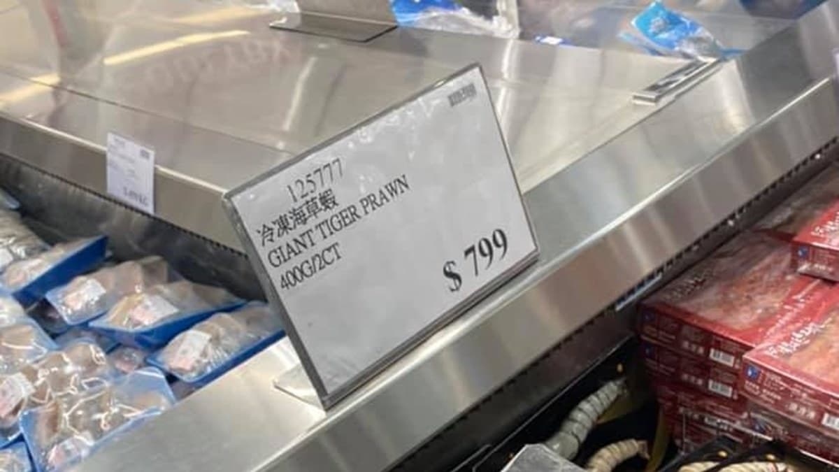 好市多又見巨型怪物!超狂「手臂粗海草蝦」,老司機爆邪惡吃法 好市多又見巨型怪物!超狂「手臂粗海草蝦」,老司機爆邪惡吃法