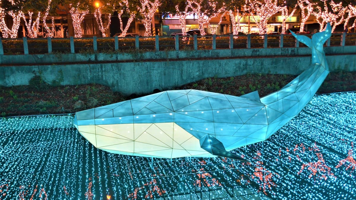 夜間動物派對開園！「屏東綵燈節」20組動物燈飾萌翻，4大主題燈區搶先看