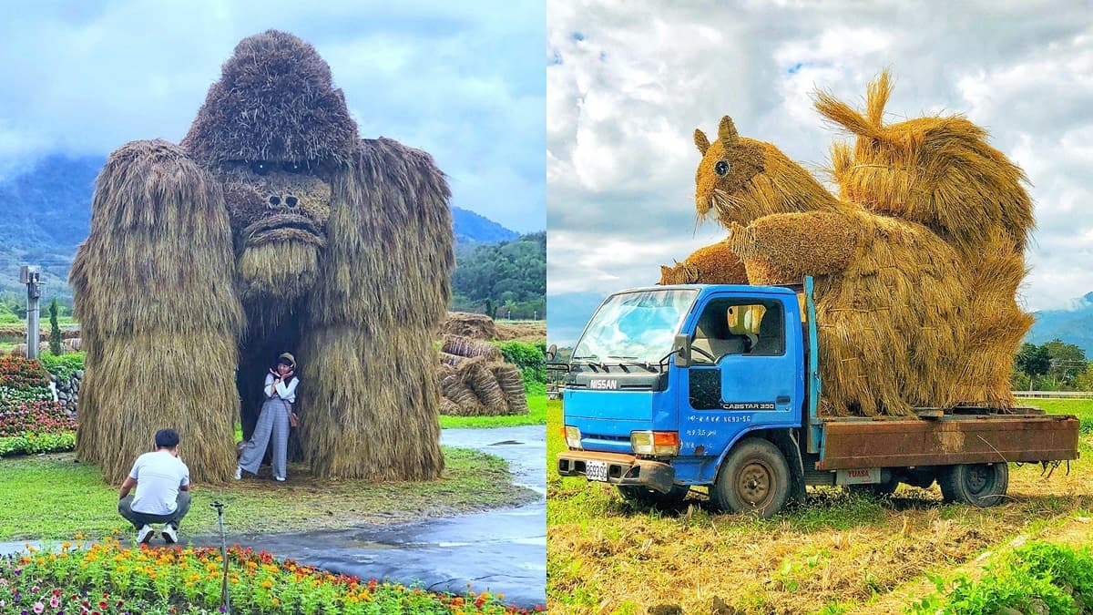 比「捲心酥」好拍！全台首創17座「大型稻草動物」，6公尺猩猩、巨型松鼠免費拍