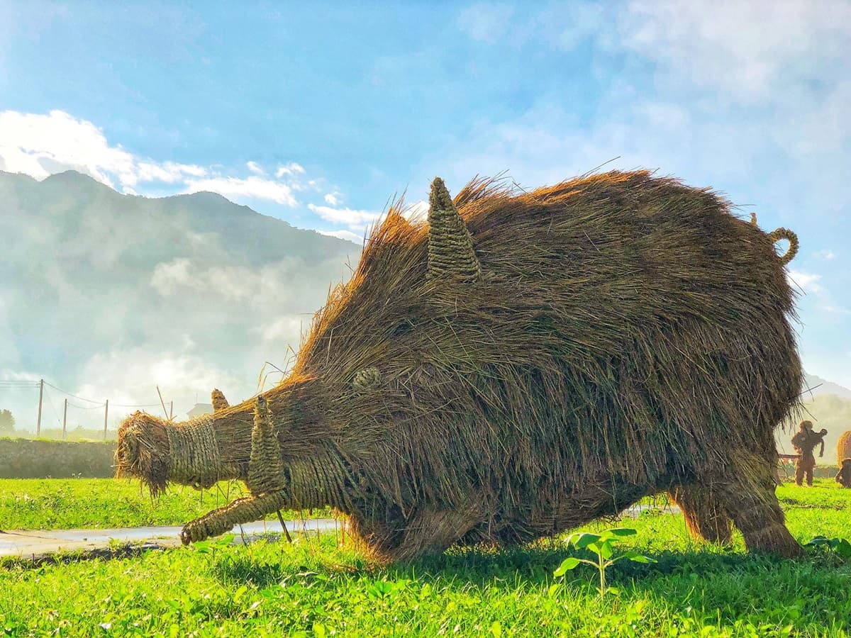 比「捲心酥」好拍！全台首創17座「大型稻草動物」，6公尺猩猩、巨型松鼠免費拍