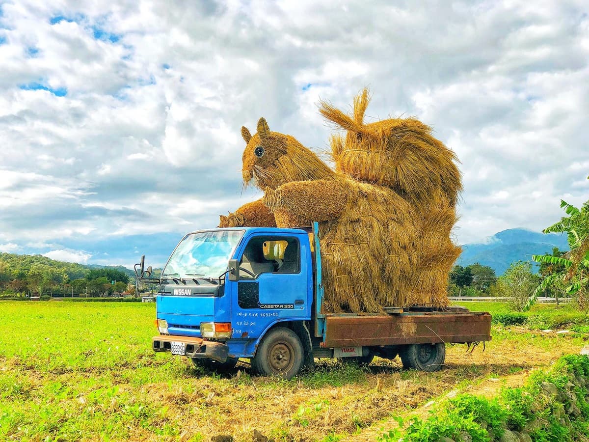 比「捲心酥」好拍！全台首創17座「大型稻草動物」，6公尺猩猩、巨型松鼠免費拍