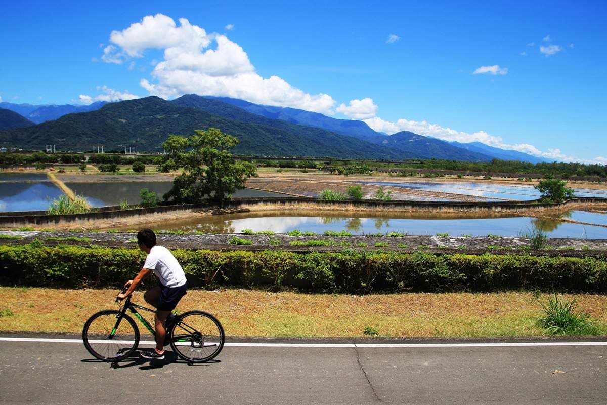 全台15條最美單車路線+順遊：《龍貓》森林隧道、水上自行車道、海堤夢幻夕陽