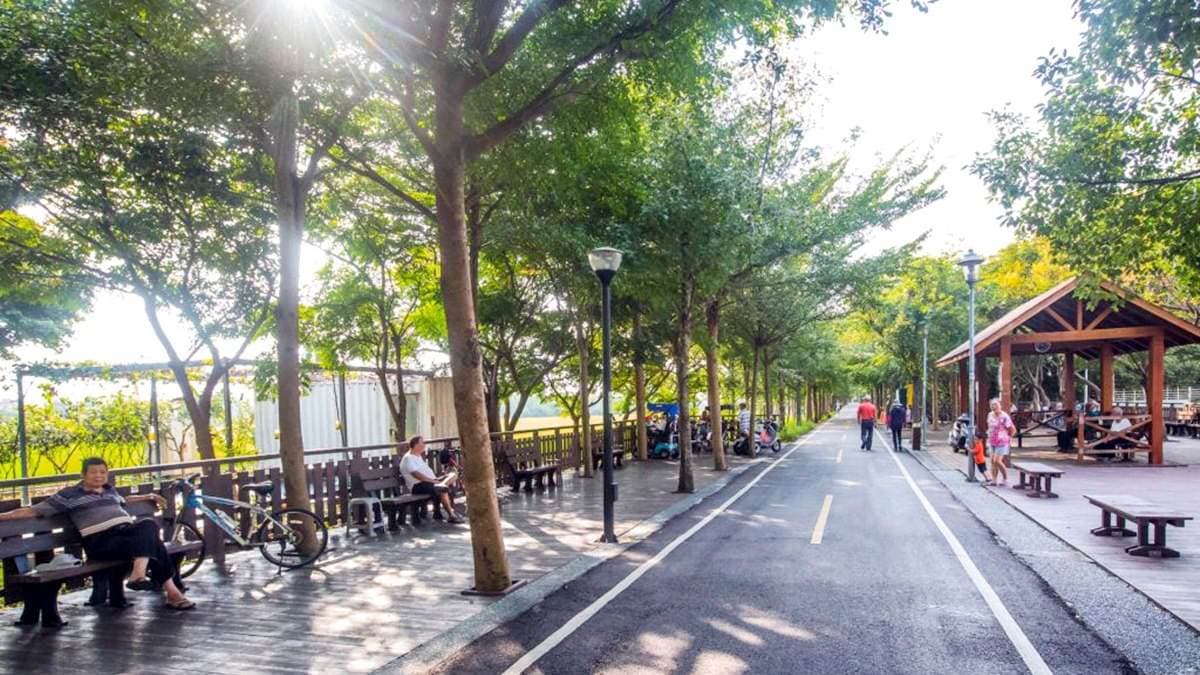 全台15條最美單車路線+順遊：《龍貓》森林隧道、水上自行車道、海堤夢幻夕陽