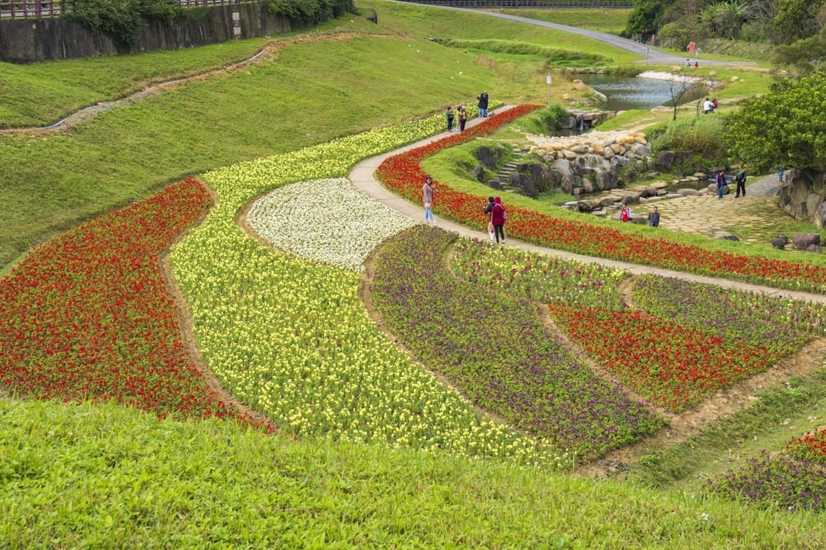 台北新祕境「搭捷運就到」！420坪「浪花系拼色花海」超好拍，還有石頭步道可以跳