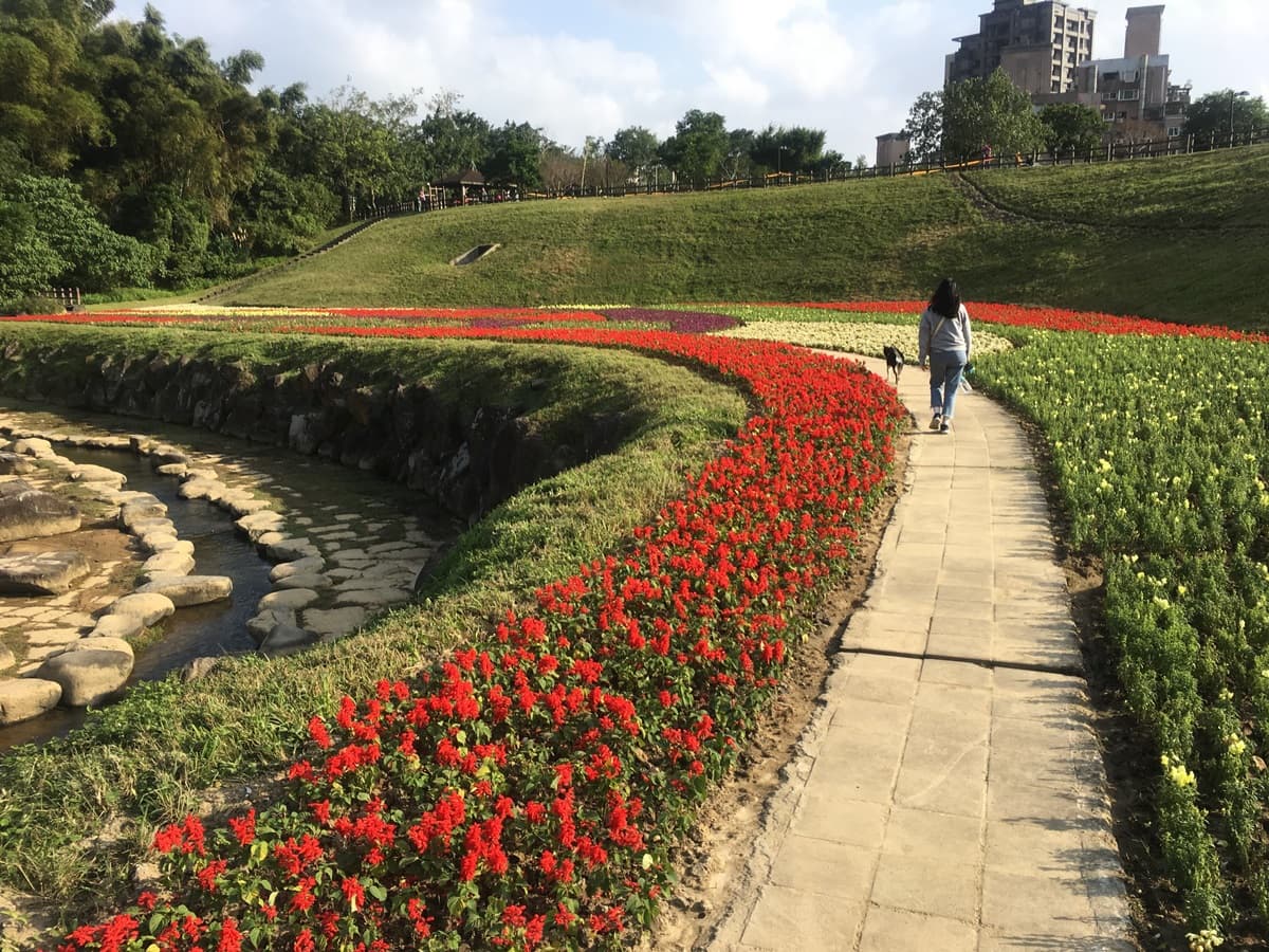 台北新祕境「搭捷運就到」！420坪「浪花系拼色花海」超好拍，還有石頭步道可以跳