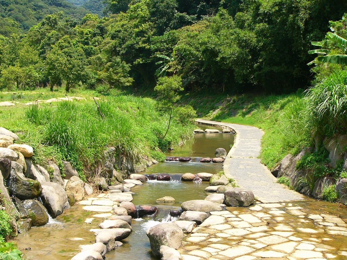 台北新祕境「搭捷運就到」！420坪「浪花系拼色花海」超好拍，還有石頭步道可以跳