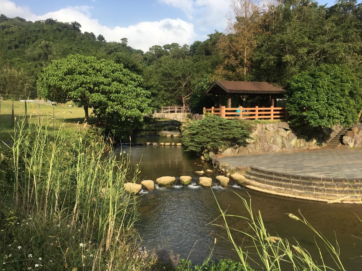 台北新祕境「搭捷運就到」！420坪「浪花系拼色花海」超好拍，還有石頭步道可以跳