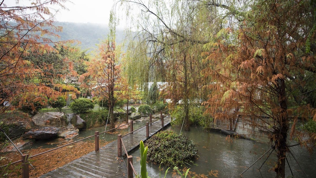 南投絕美祕境+1!4萬坪落羽松+現採粉嫩「白草莓」,又可以洗版IG囉 南投絕美祕境+1!4萬坪落羽松+現採粉嫩「白草莓」,又可以洗版IG囉