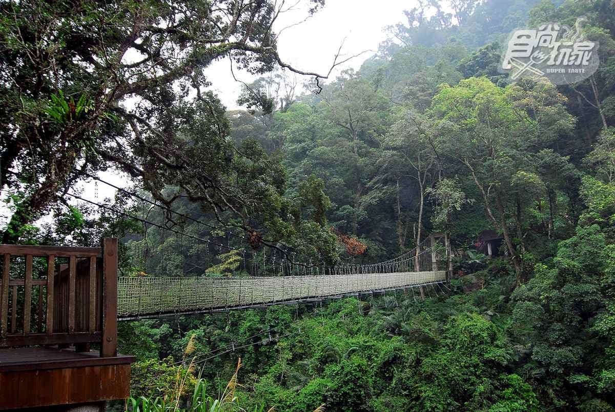 IG搶打卡！全台７大超好拍祕境吊橋：全台最長「天空步道」、壯觀百步蛇護欄