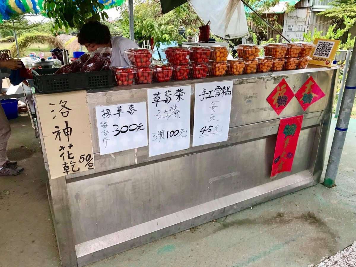 草莓自己採最好玩，高雄也有草莓園，香水草莓大又甜，還可「種草莓」