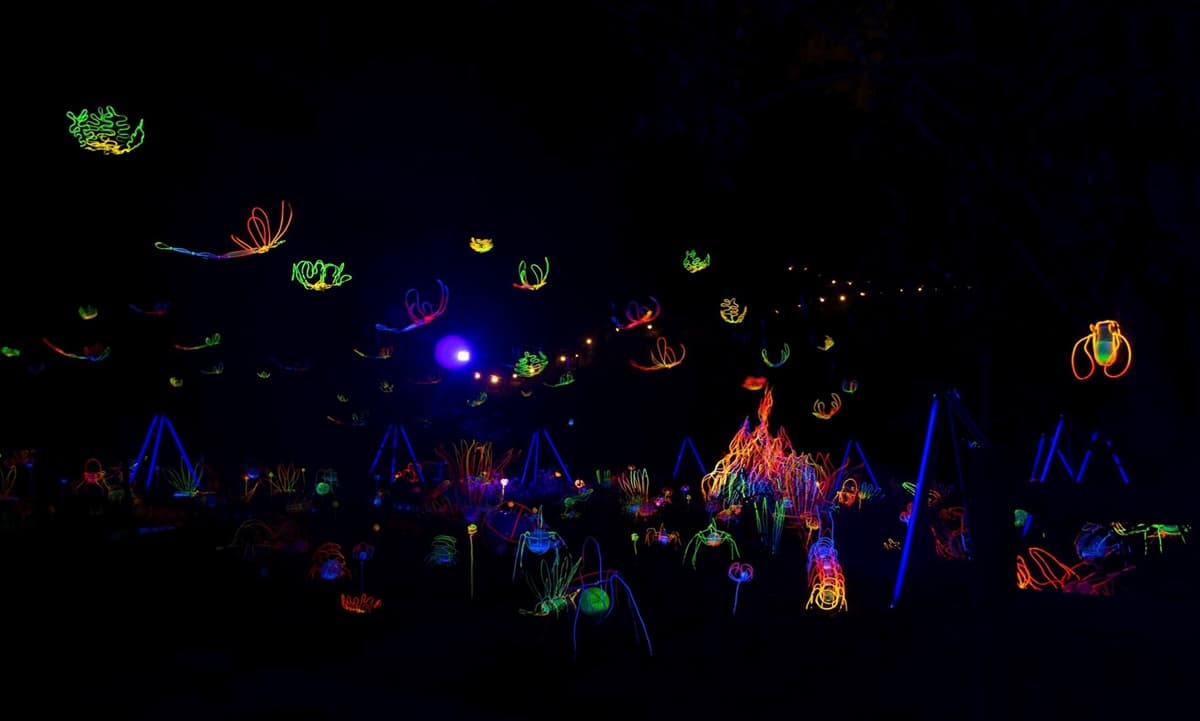 魔幻「螢光蟲」出沒！台南小祕境「龍崎空山祭」比阿凡達星球還炫
