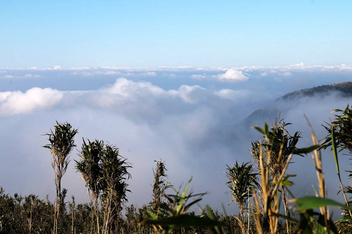 台灣唯一火山步道,台北最高峰七星山輕鬆登頂路線,幼稚園小孩都能走 台灣唯一火山步道,台北最高峰七星山輕鬆登頂路線,幼稚園小孩都能走