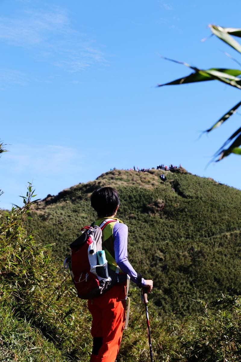 台灣唯一火山步道,台北最高峰七星山輕鬆登頂路線,幼稚園小孩都能走 台灣唯一火山步道,台北最高峰七星山輕鬆登頂路線,幼稚園小孩都能走