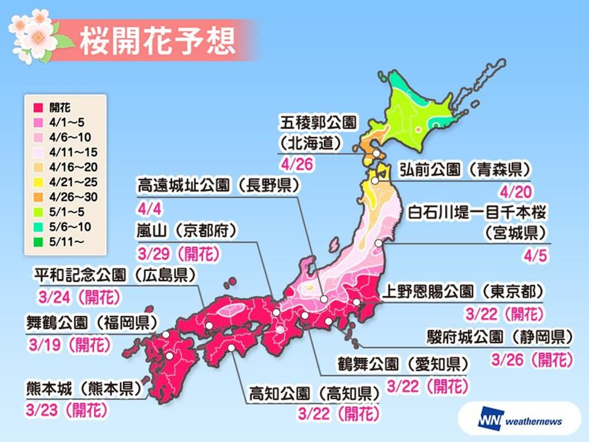 收這張圖訂機票！2020日本櫻花特報，京都、大阪滿開時刻「巧撞台灣連假」