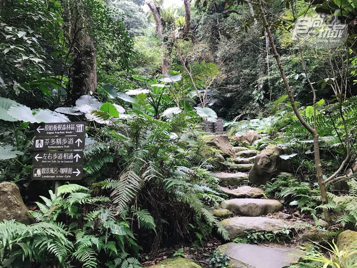 櫻花樹下泡湯只要600元!新北「日本祕境」房間就有無敵山景超好拍 櫻花樹下泡湯只要600元!新北「日本祕境」房間就有無敵山景超好拍