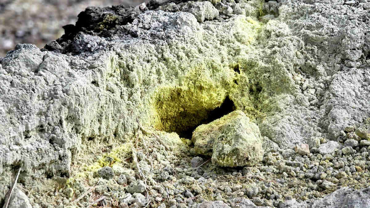 台灣唯一火山步道,台北最高峰七星山輕鬆登頂路線,幼稚園小孩都能走 台灣唯一火山步道,台北最高峰七星山輕鬆登頂路線,幼稚園小孩都能走