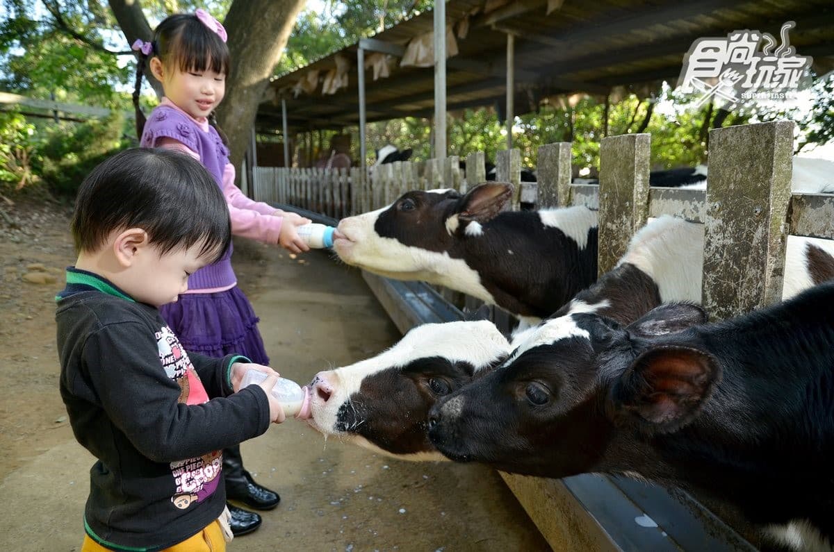 寒假遛小孩首選!全台12個動物系休閒農場,餵鹿、看鸚鵡耍寶還能玩滑草 寒假遛小孩首選!全台12個動物系休閒農場,餵鹿、看鸚鵡耍寶還能玩滑草