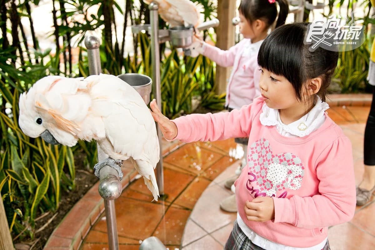 寒假遛小孩首選!全台12個動物系休閒農場,餵鹿、看鸚鵡耍寶還能玩滑草 寒假遛小孩首選!全台12個動物系休閒農場,餵鹿、看鸚鵡耍寶還能玩滑草