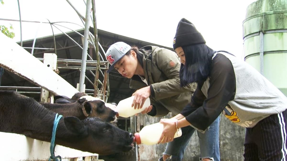 寒假遛小孩首選!全台12個動物系休閒農場,餵鹿、看鸚鵡耍寶還能玩滑草 寒假遛小孩首選!全台12個動物系休閒農場,餵鹿、看鸚鵡耍寶還能玩滑草