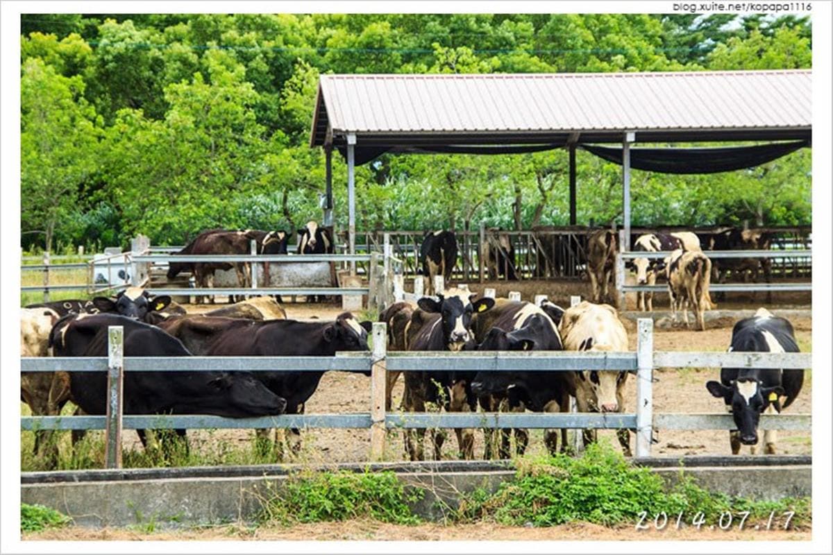 寒假遛小孩首選!全台12個動物系休閒農場,餵鹿、看鸚鵡耍寶還能玩滑草 寒假遛小孩首選!全台12個動物系休閒農場,餵鹿、看鸚鵡耍寶還能玩滑草