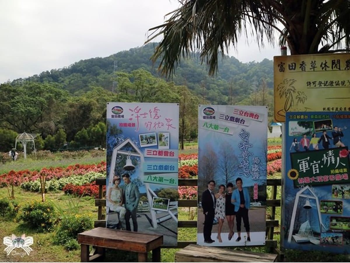 戲迷回味！桃園5個偶像劇美拍場景：彩虹花海、水晶教堂，還能餵草泥馬、穿宮廷服