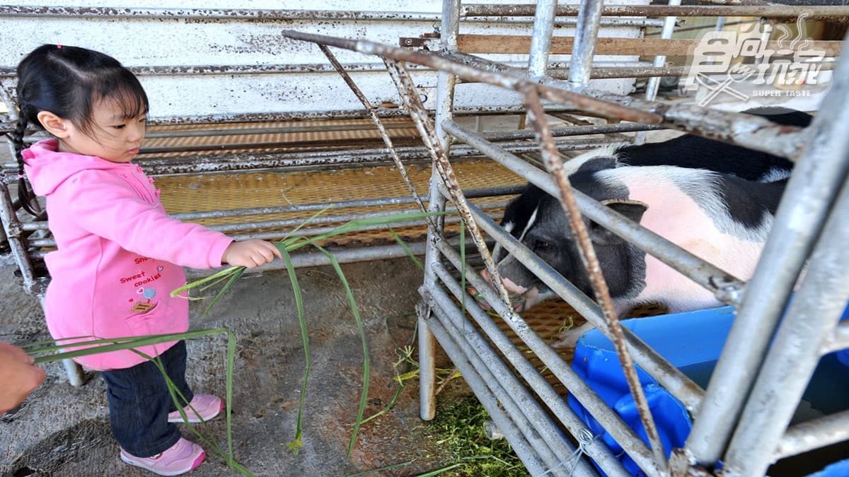 寒假遛小孩首選!全台12個動物系休閒農場,餵鹿、看鸚鵡耍寶還能玩滑草 寒假遛小孩首選!全台12個動物系休閒農場,餵鹿、看鸚鵡耍寶還能玩滑草