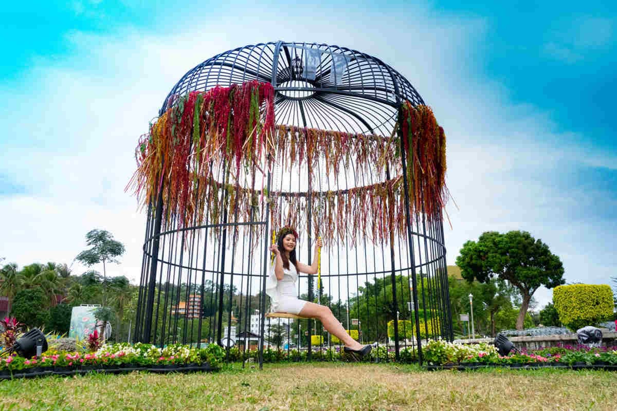 原來紅藜這麼美！台東限時美拍景點「紅吱吱」，這兩個鳥籠超好拍