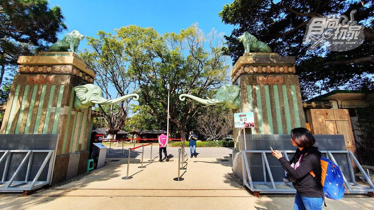 籠子不關動物卻「關人」？地下通道零距離看兩隻老虎，新竹動物園5亮點