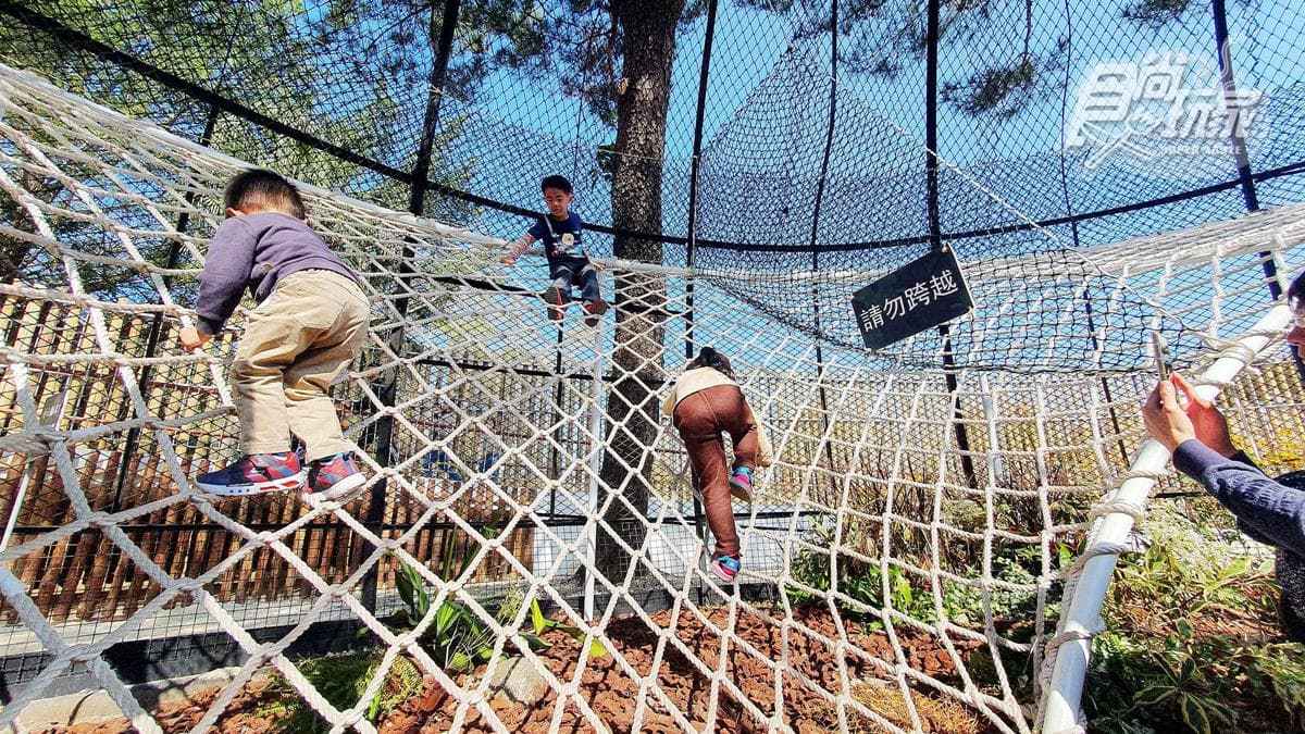 籠子不關動物卻「關人」？地下通道零距離看兩隻老虎，新竹動物園5亮點