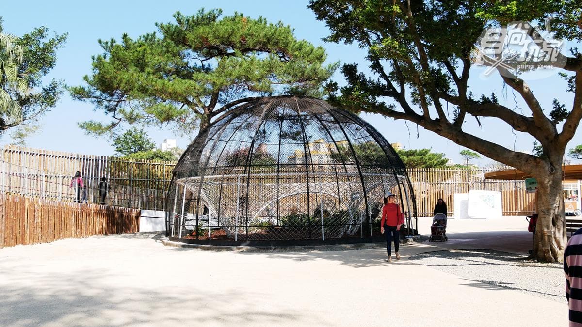 籠子不關動物卻「關人」？地下通道零距離看兩隻老虎，新竹動物園5亮點