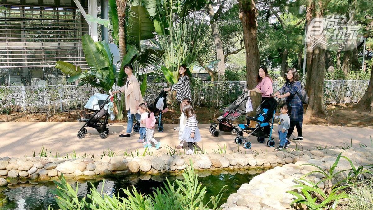 籠子不關動物卻「關人」？地下通道零距離看兩隻老虎，新竹動物園5亮點