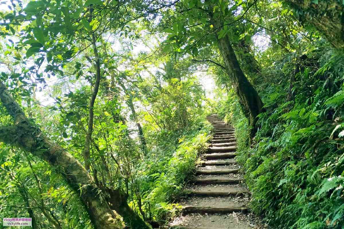 宜蘭礁溪這樣玩,IG爆紅神級美景「抹茶山」親體驗,雲霧像是棉花糖 宜蘭礁溪這樣玩,IG爆紅神級美景「抹茶山」親體驗,雲霧像是棉花糖