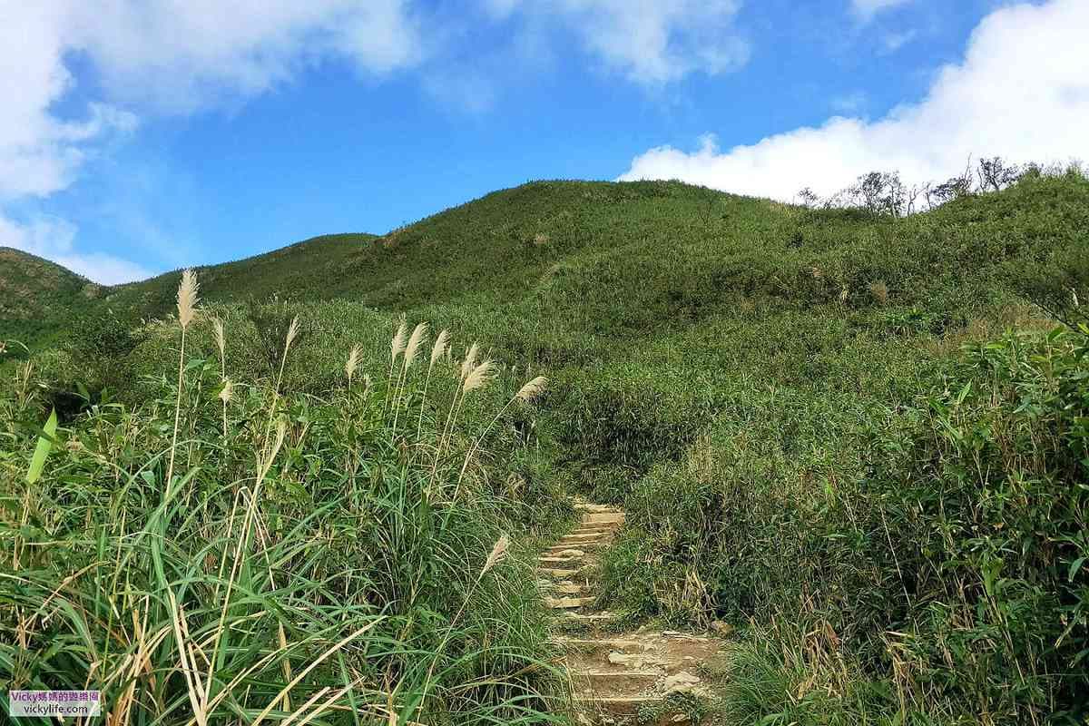 宜蘭礁溪這樣玩,IG爆紅神級美景「抹茶山」親體驗,雲霧像是棉花糖 宜蘭礁溪這樣玩,IG爆紅神級美景「抹茶山」親體驗,雲霧像是棉花糖