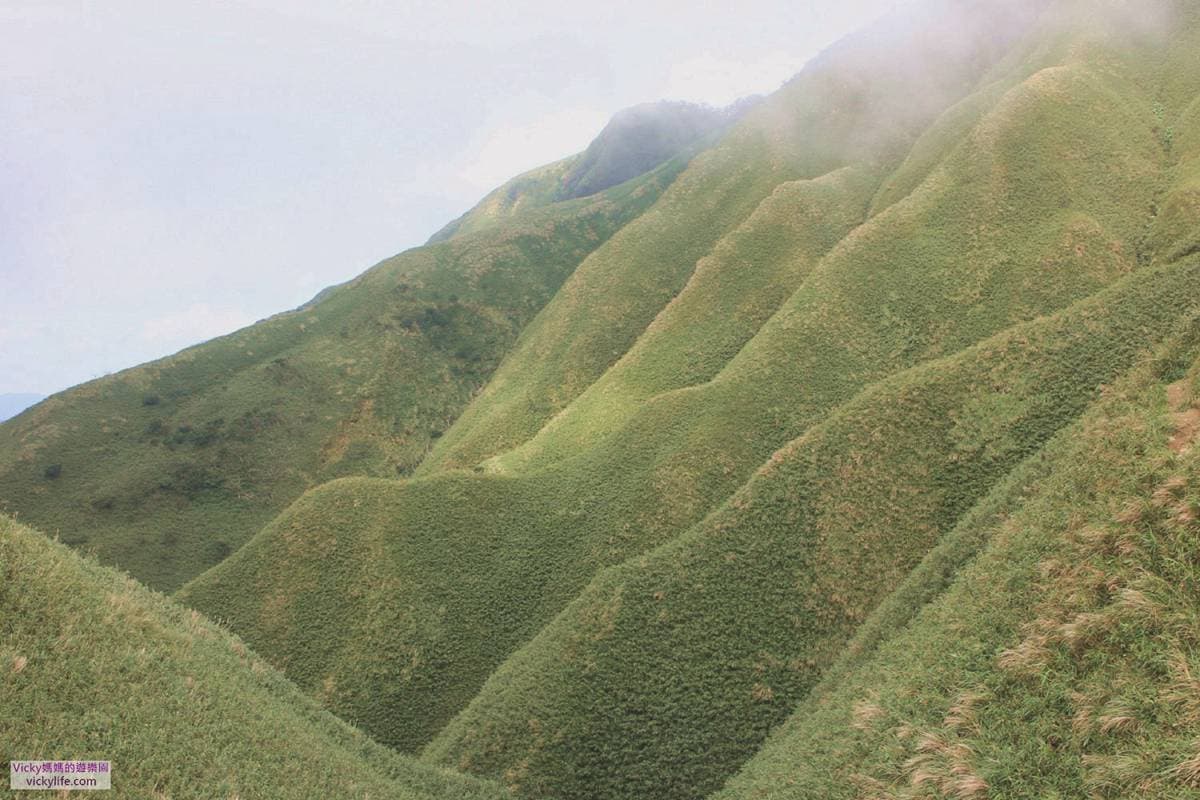 宜蘭礁溪這樣玩,IG爆紅神級美景「抹茶山」親體驗,雲霧像是棉花糖 宜蘭礁溪這樣玩,IG爆紅神級美景「抹茶山」親體驗,雲霧像是棉花糖