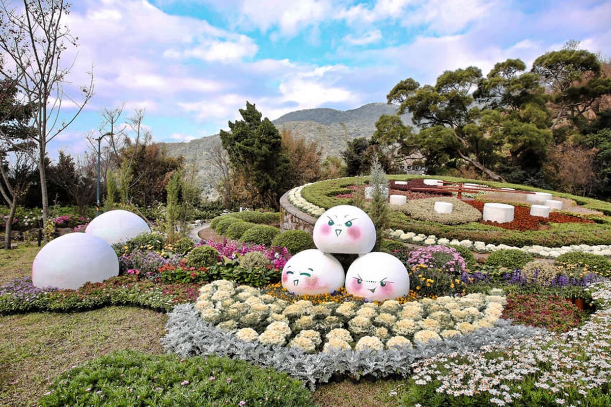 台北賞櫻衝這！2020陽明山花季「櫻花甜開7成」，八重→昭和→吉野櫻接力綻放